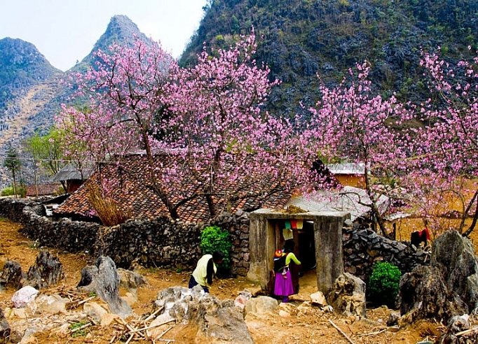 Ngôi nhà cổ được xây bằng đá trên Đồng Văn